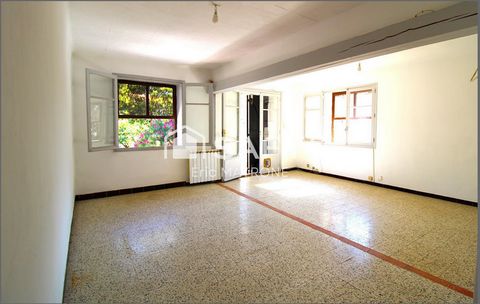 photo no. 4