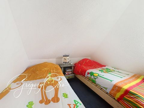 photo no. 3