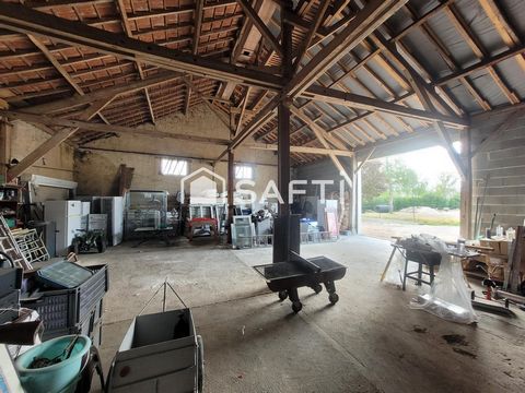 photo no. 16