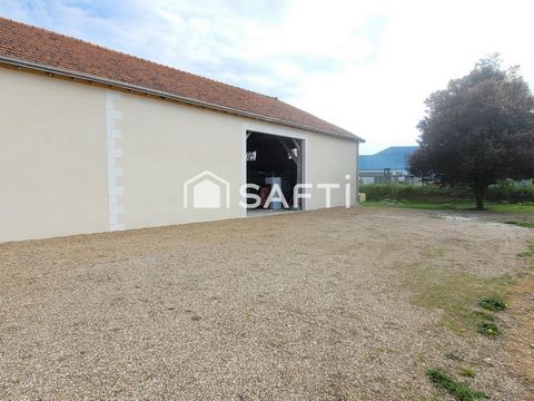 photo no. 18
