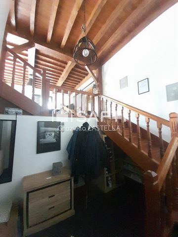 photo no. 4