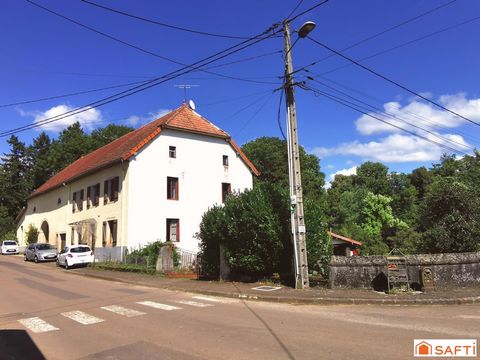 photo no. 1