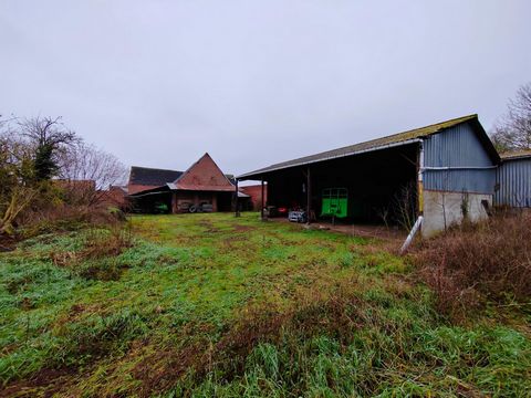photo no. 2