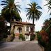 villa for rent Cannes